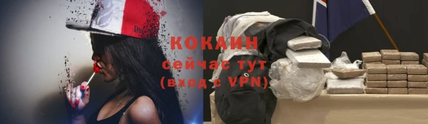 СК Гусев